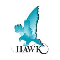 Hawk Measurment Systems