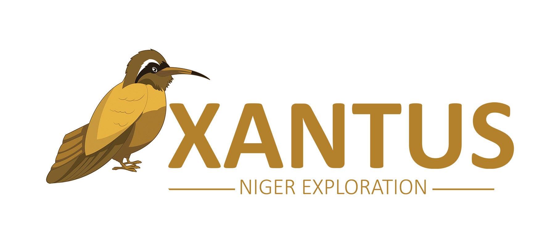 Xantus Exploration