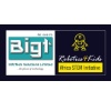 BIGT InfoTech Solutions Limited