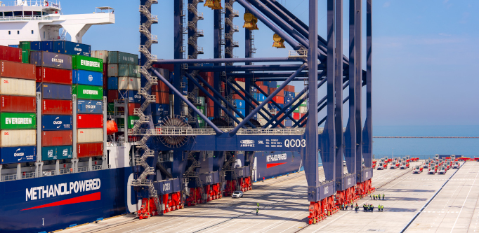 The Gulf’s Green Bet