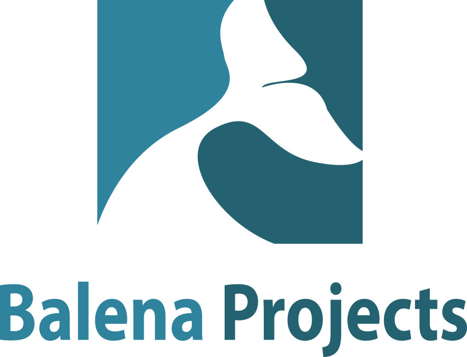 BALENA PROJECTS LTD