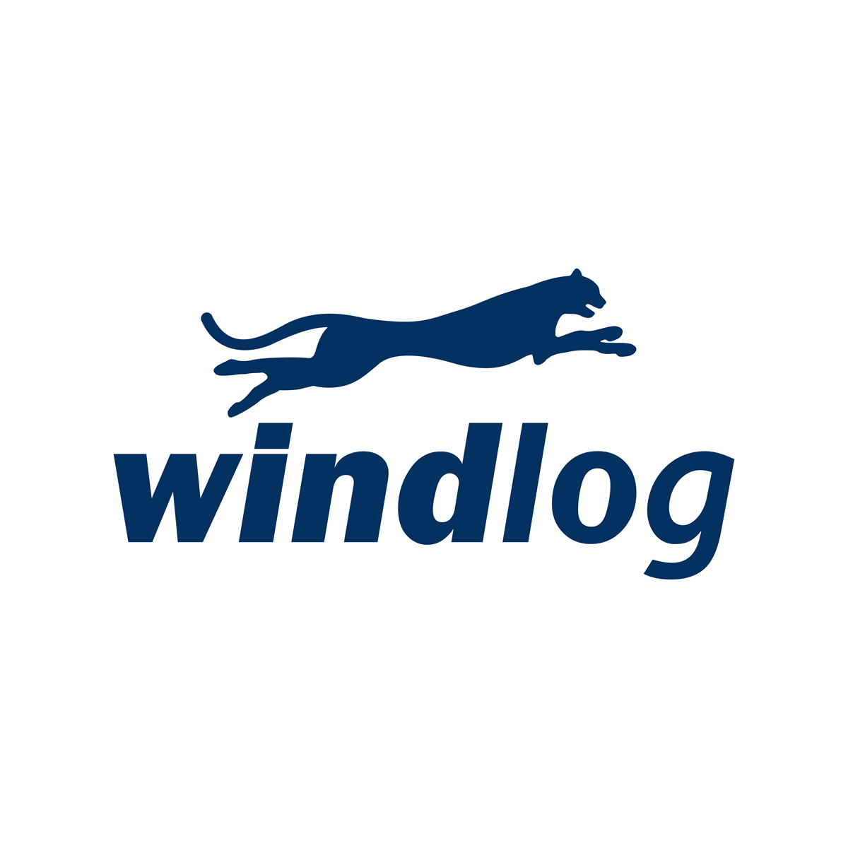 BRAZIL WIND LOGISTICS