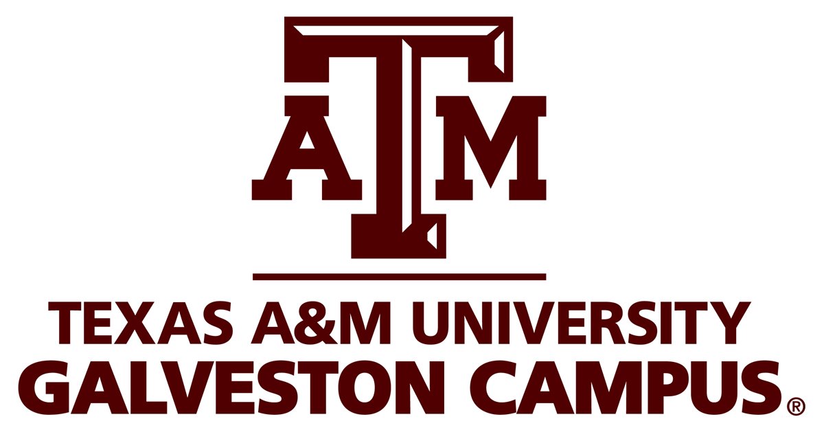 Universidad Texas A&M en Galveston