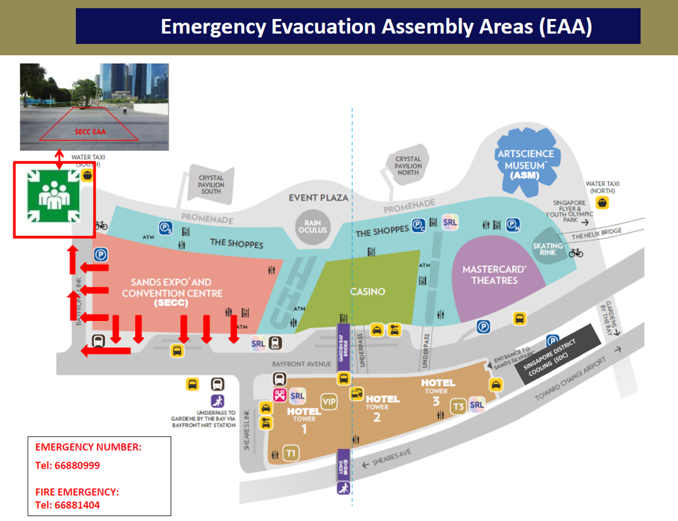 EAA 01