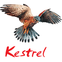 Kestrel Group Kestrel Group