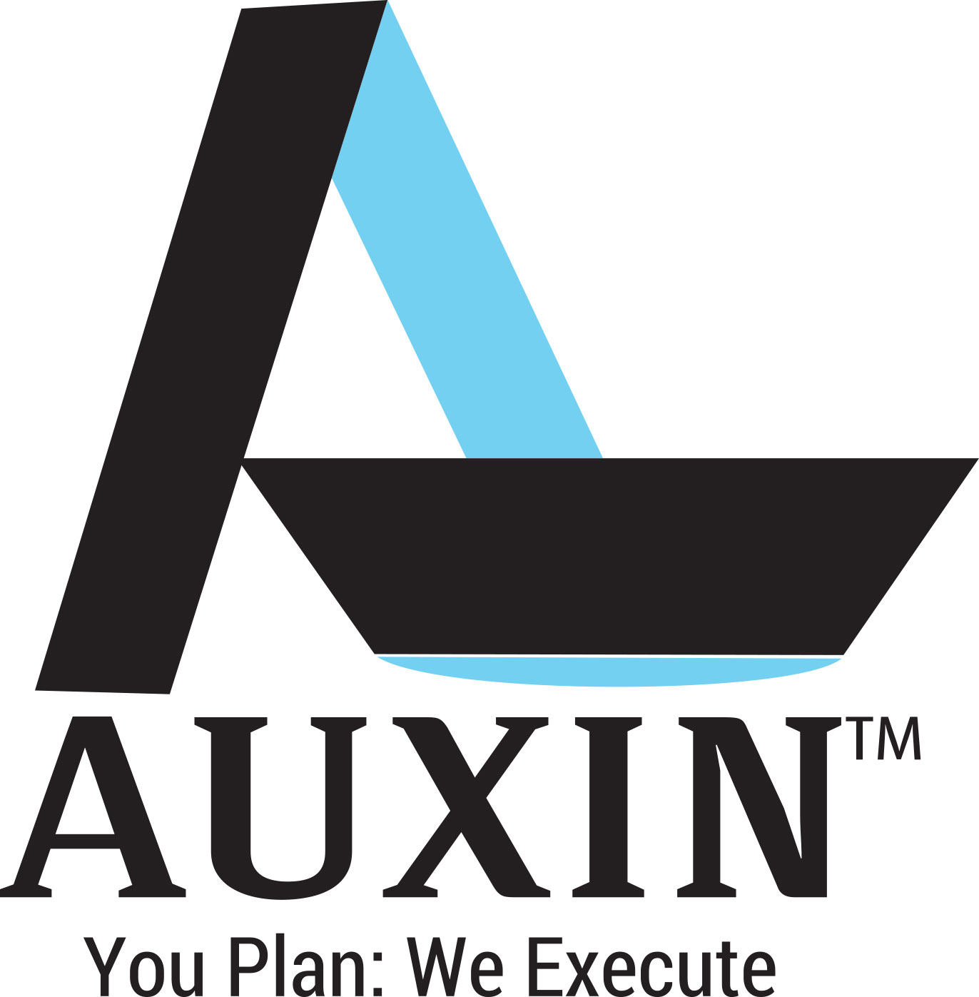 AUXIN SHIPPING PVT LTD