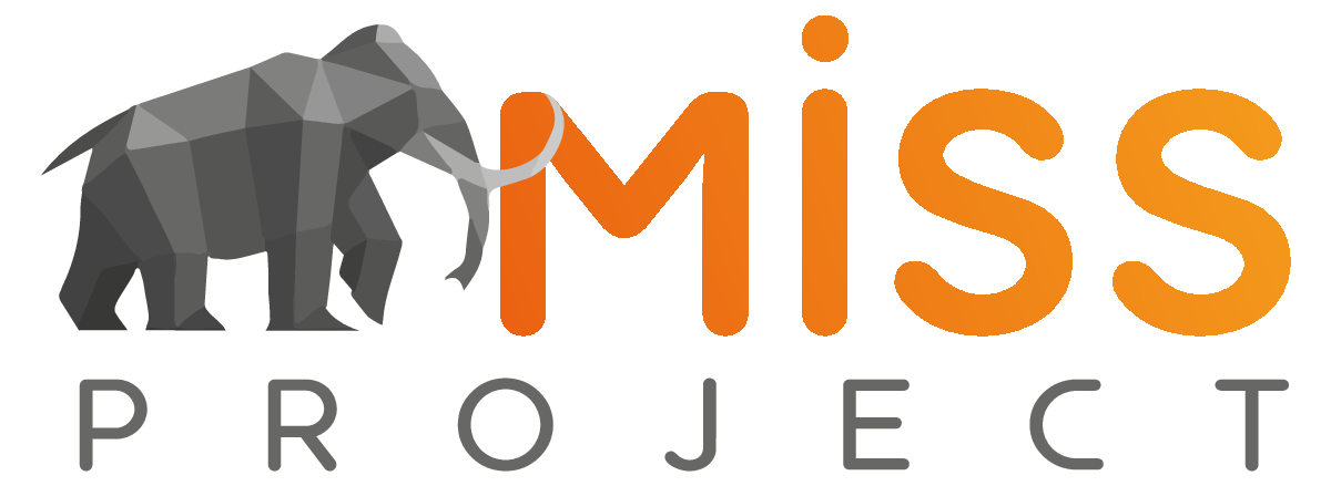 Miss Project & Miss Transport