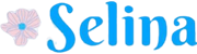 Selina Shipping Lines LLC