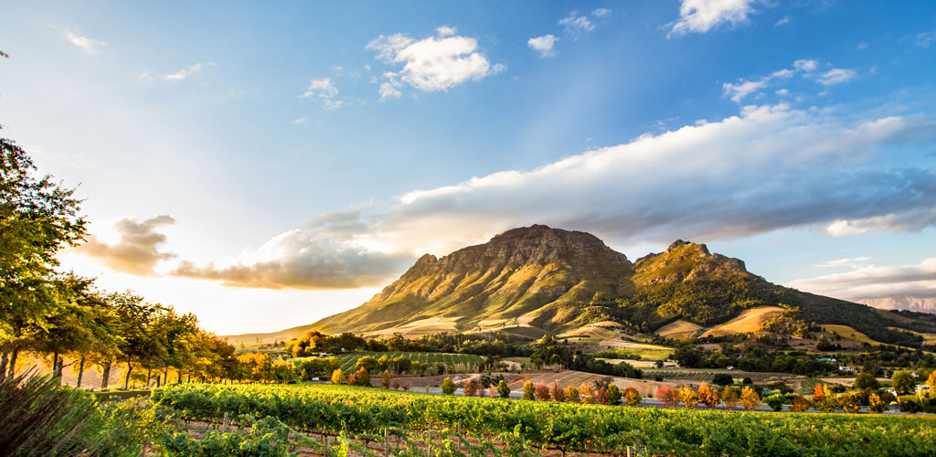 Wine Route South Africa