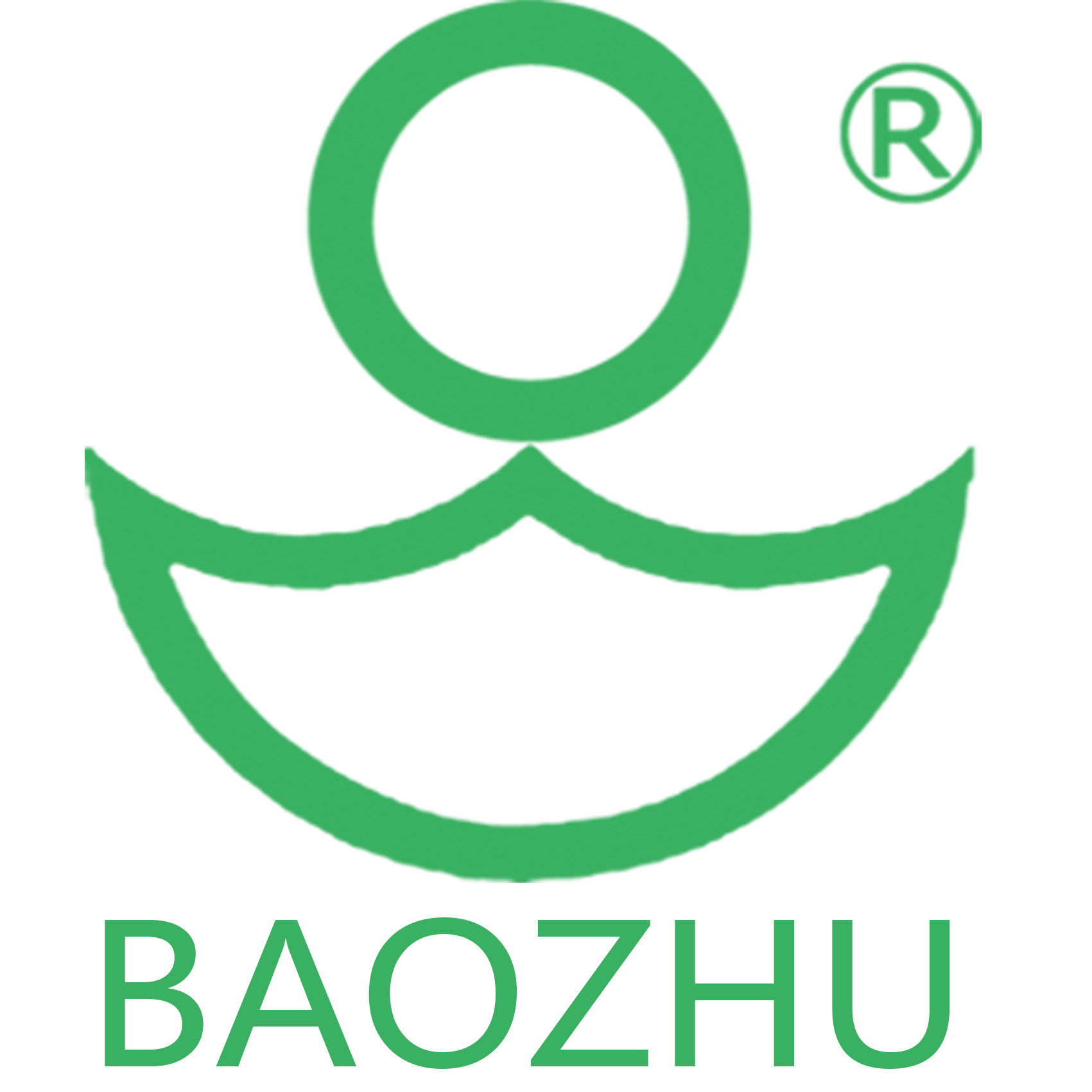 Yangzhou Baozhu Electric Appliance Co.,Ltd