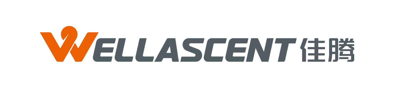 WELL ASCENT ELECTRONIC (GANZHOU) CO., LTD.