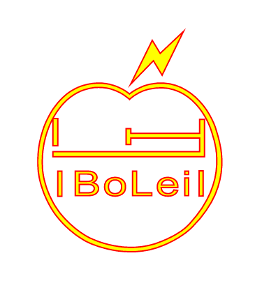 Zhejiang Bolei Electric Co., Ltd.