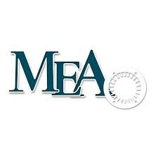 Mea Testing Systems