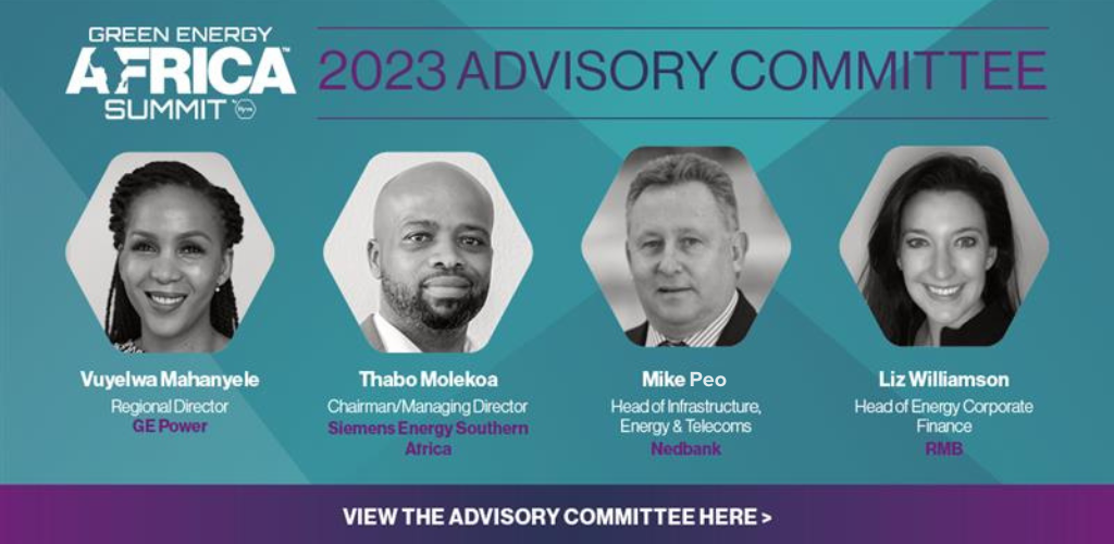 Introducing the 2023 Green Energy Africa Summit Advisory Committee