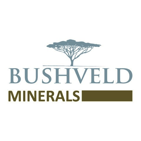 BUSHVELD MINERALS BUSHVELD MINERALS