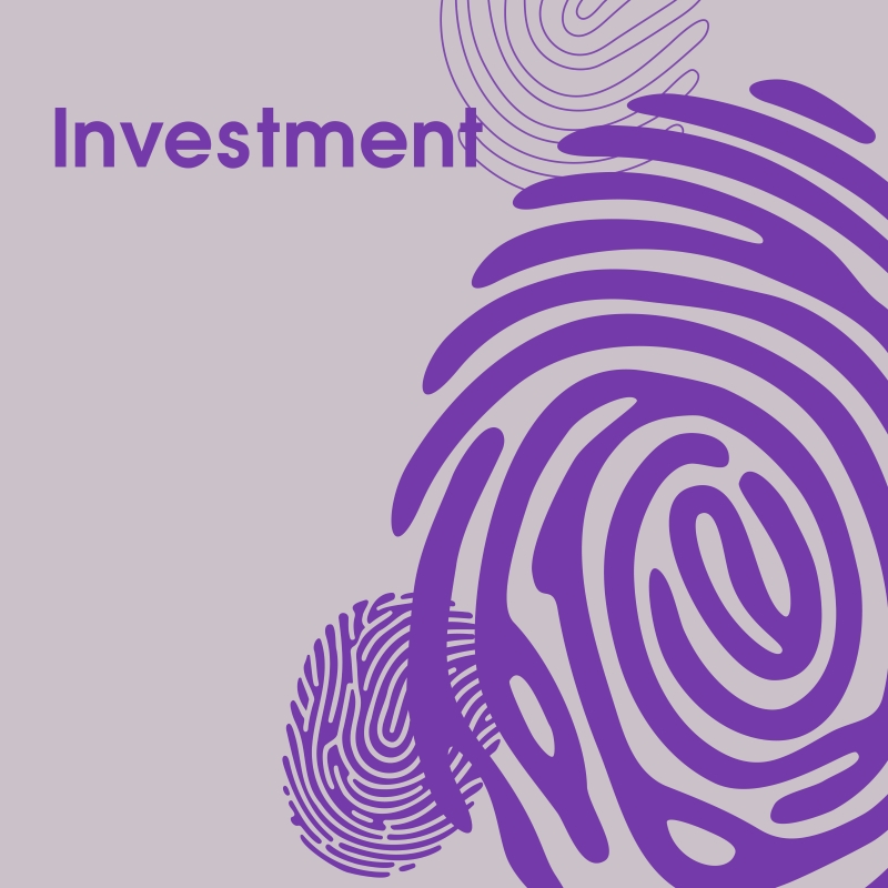 Investment