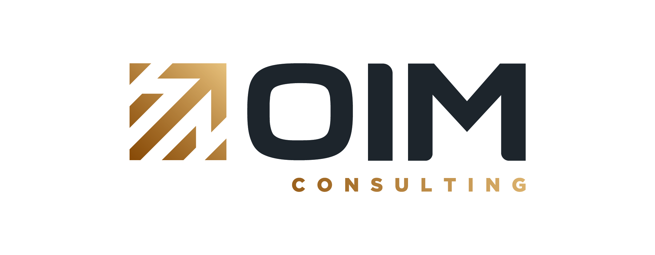 OIM CONSULTING OIM CONSULTING