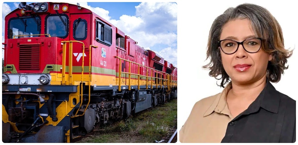 Private-sector partnerships key to South Africa’s economic recovery