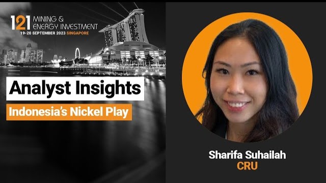 Analyst Insights: Indonesia’s Nickel Play