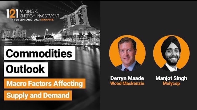 Commodities Outlook Panel