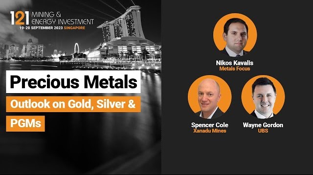 Precious Metals Panel