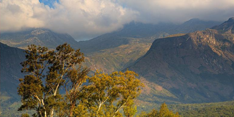 Altona Rare Earths Appoints DGWA as European Investor Relations Advisor