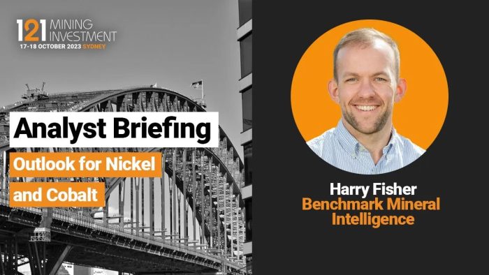 Analyst Briefing: Outlook for Nickel and Cobalt