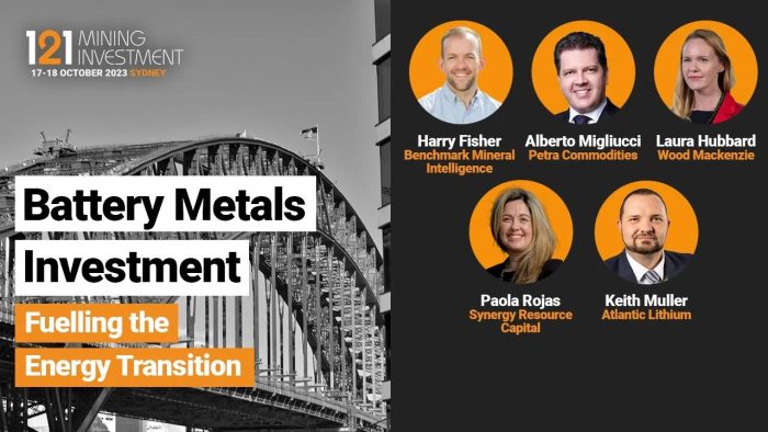 Battery Metals Investment Panel