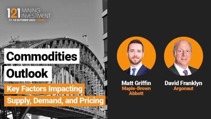 Commodities Outlook Panel
