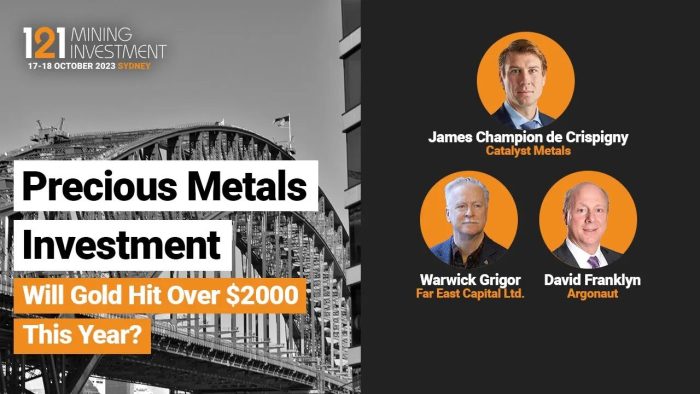 Precious Metals Investment Panel