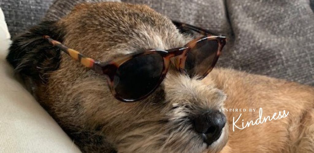 scoop-preview-scruff.jpg?ext=.jpg