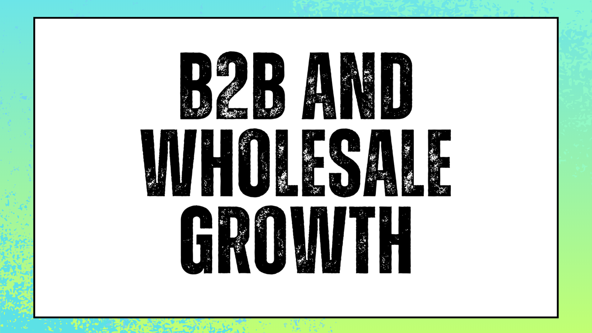 B2B and Wholesale Growth