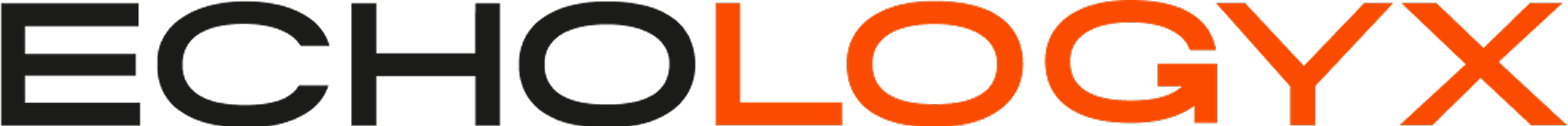 ELX AI Chatbot & Echologyx Ltd